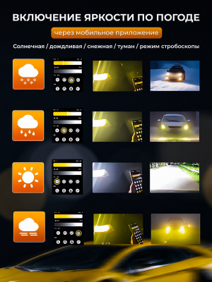 лампы 5